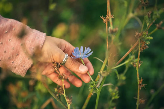 Wheel of the Year: What It Means to Live Seasonally as a Witch